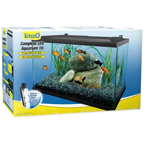 tetra fish|Products .